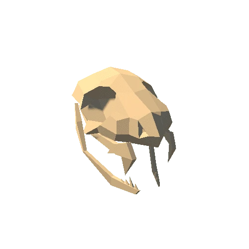 snake skull